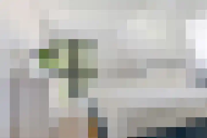 van Schevichavenstraat 3 M Nijmegen thumbnail 31