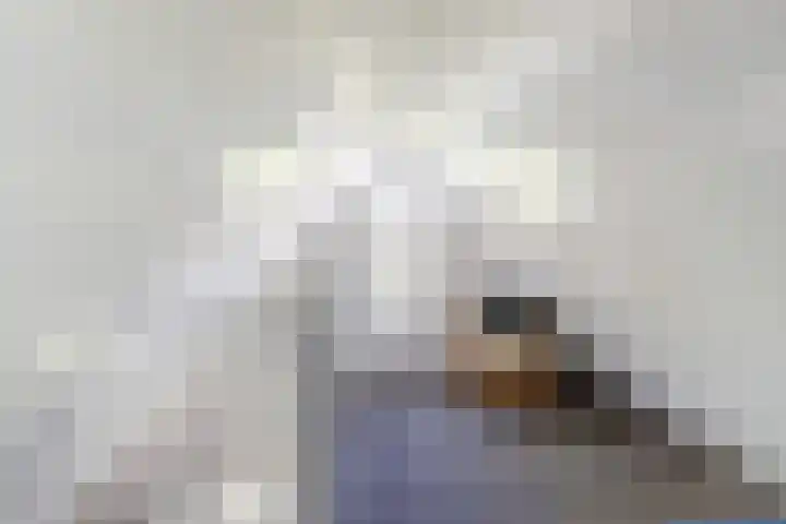 van Schevichavenstraat 3 M Nijmegen thumbnail 36