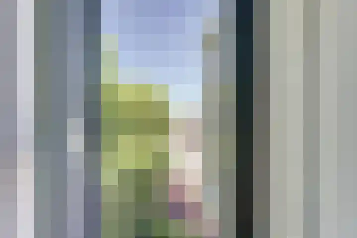 van Schevichavenstraat 3 M Nijmegen thumbnail 38