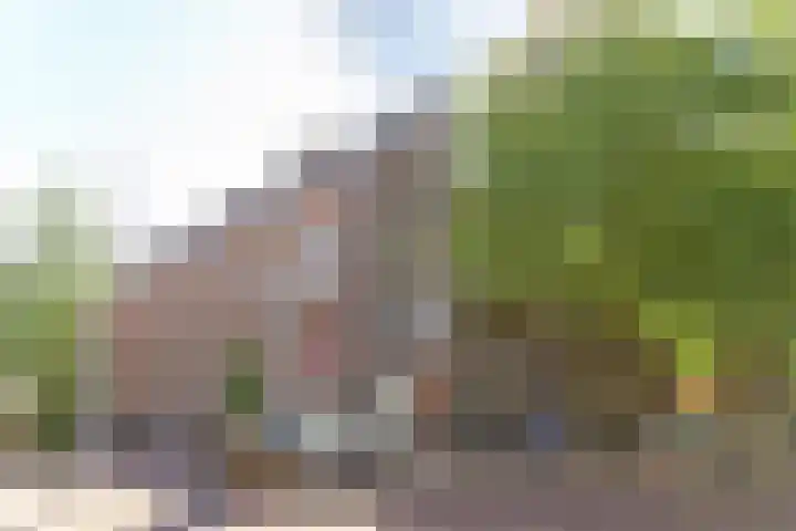 van Schevichavenstraat 3 M Nijmegen thumbnail 4