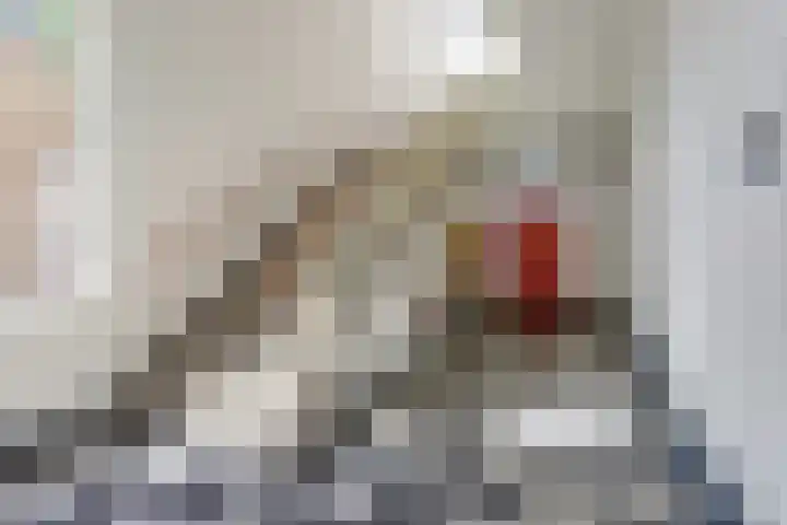 van Schevichavenstraat 3 M Nijmegen thumbnail 6
