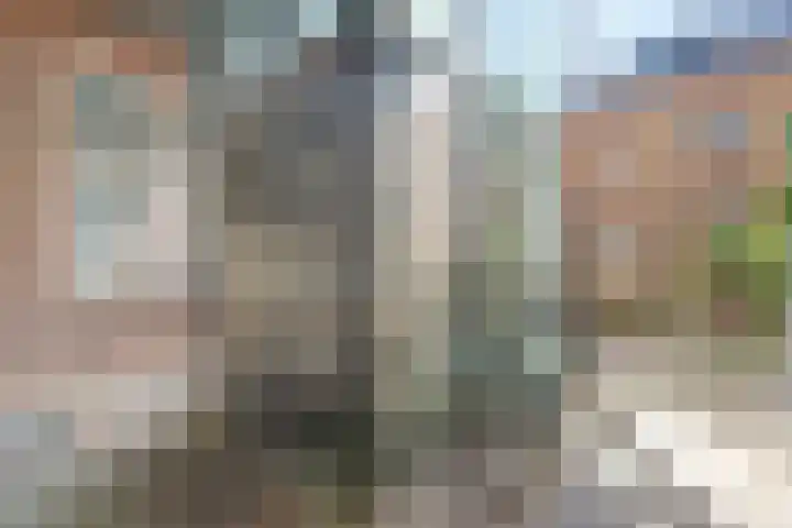van Schevichavenstraat 3 M Nijmegen thumbnail 8