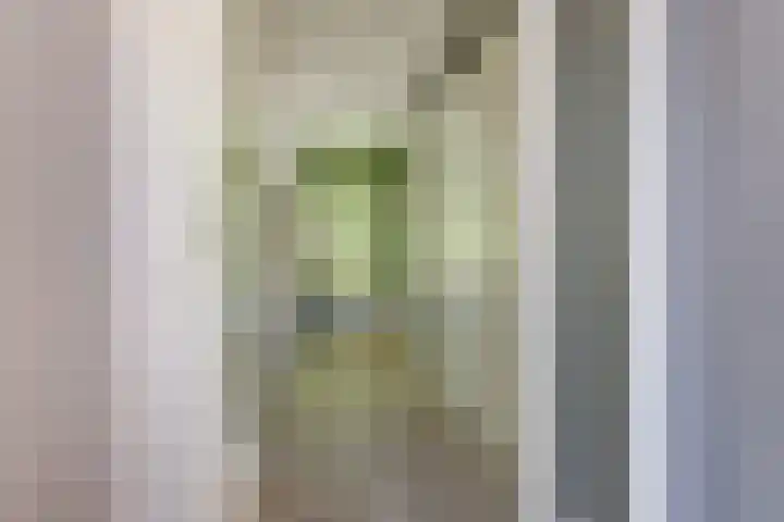 van Schevichavenstraat 3 M Nijmegen thumbnail 9