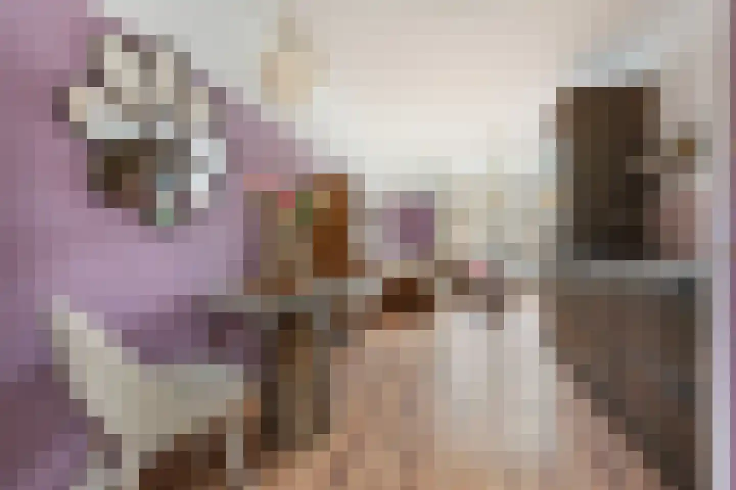 van Schevichavenstraat 3 R Nijmegen thumbnail 4