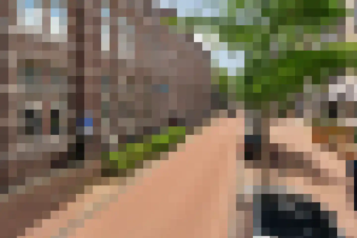 van Schevichavenstraat 3 R Nijmegen thumbnail 43