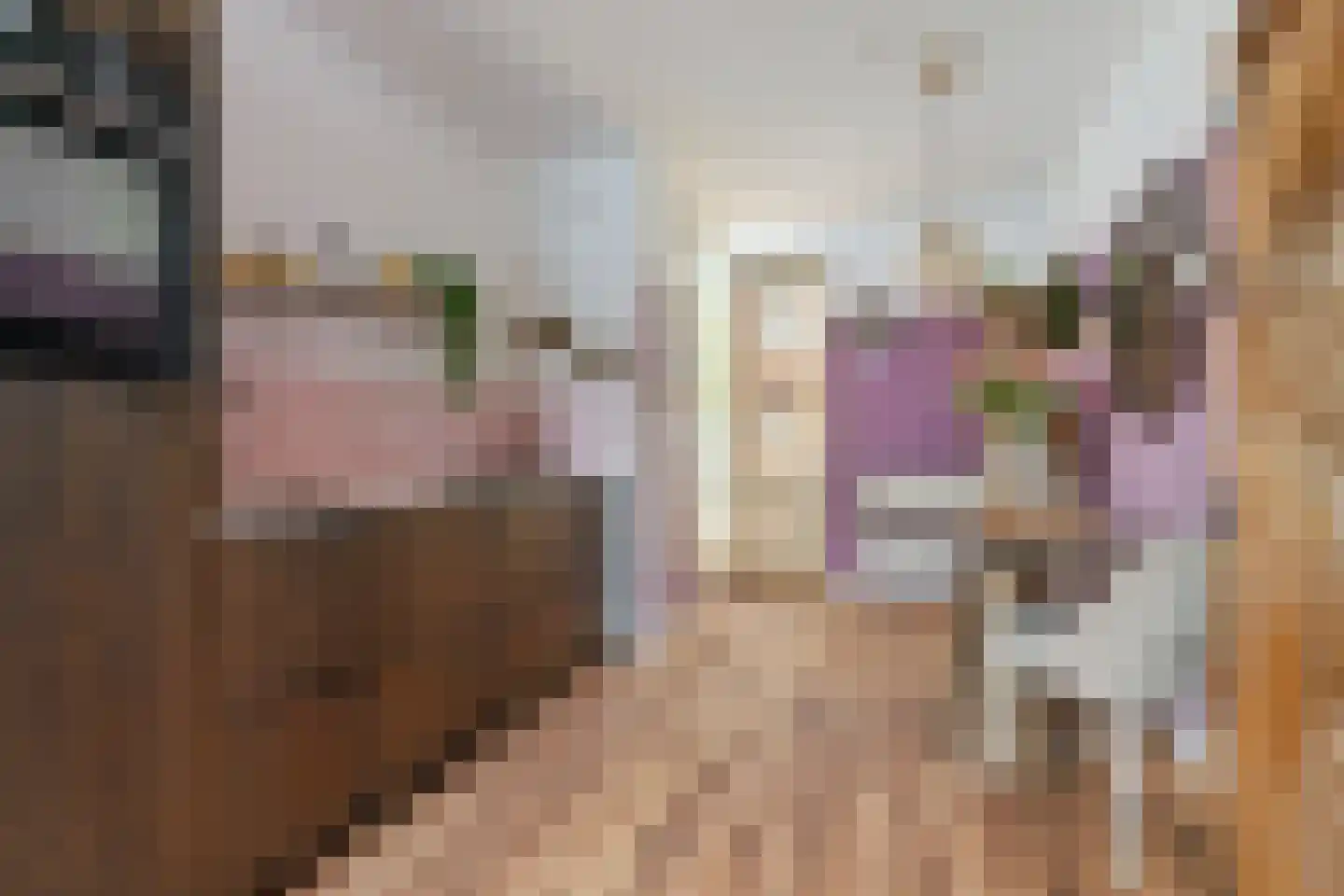 van Schevichavenstraat 3 R Nijmegen thumbnail 5