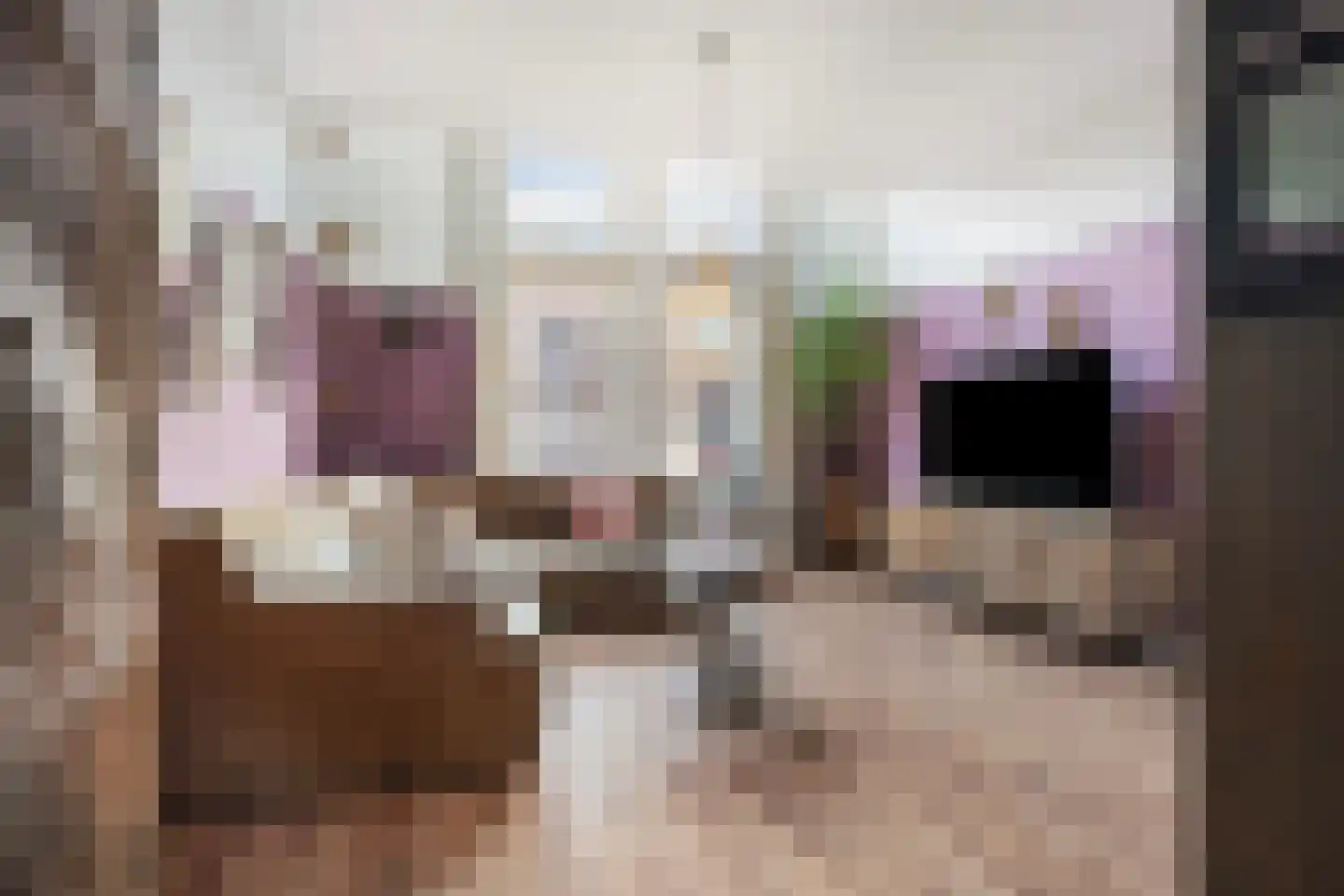 van Schevichavenstraat 3 R Nijmegen thumbnail 8