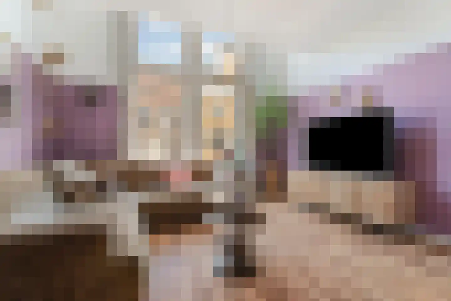 van Schevichavenstraat 3 R Nijmegen thumbnail 9