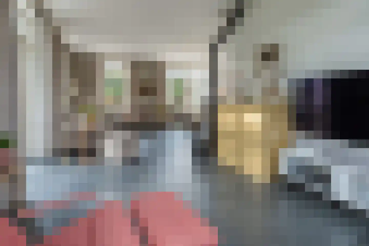 Van Schothorststraat 1 Barneveld thumbnail 13