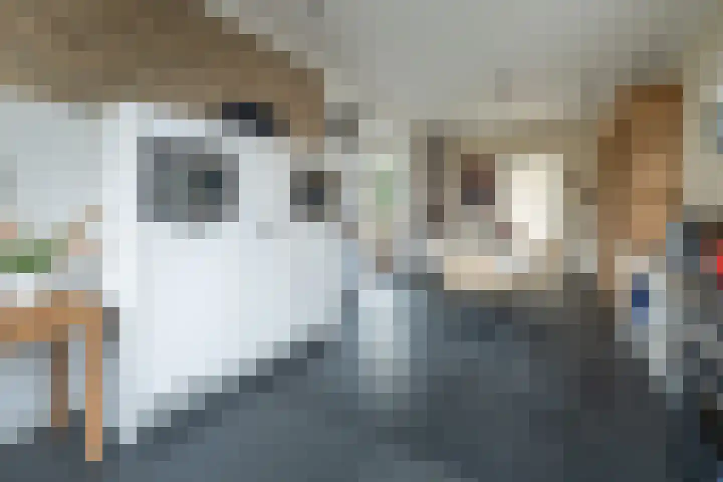 Van Schothorststraat 1 Barneveld thumbnail 19