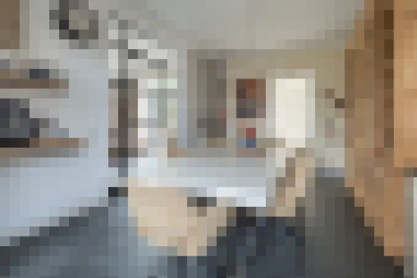 Van Schothorststraat 1 Barneveld thumbnail 20