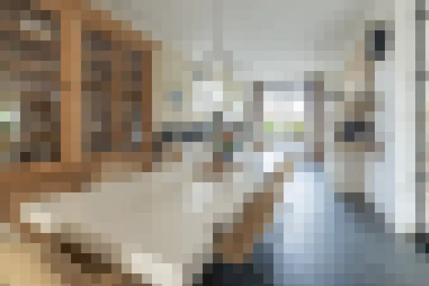 Van Schothorststraat 1 Barneveld thumbnail 4