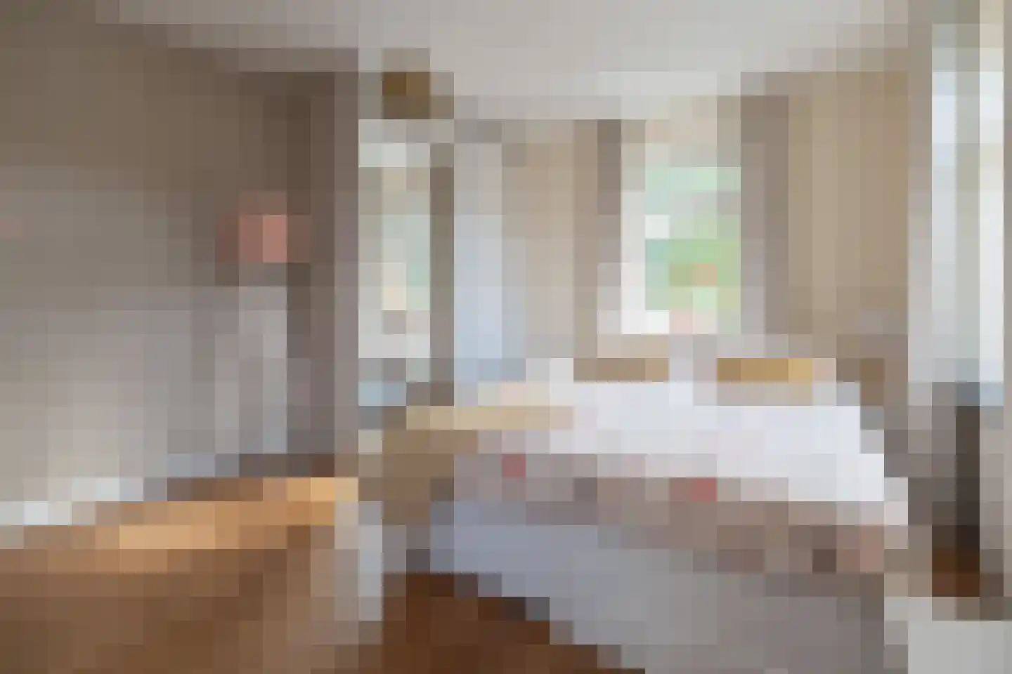 Van Schothorststraat 1 Barneveld thumbnail 40