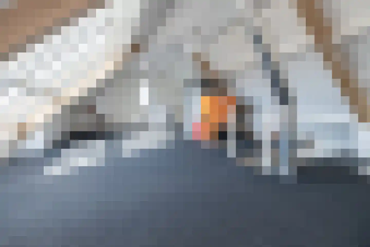Van Schothorststraat 1 Barneveld thumbnail 47