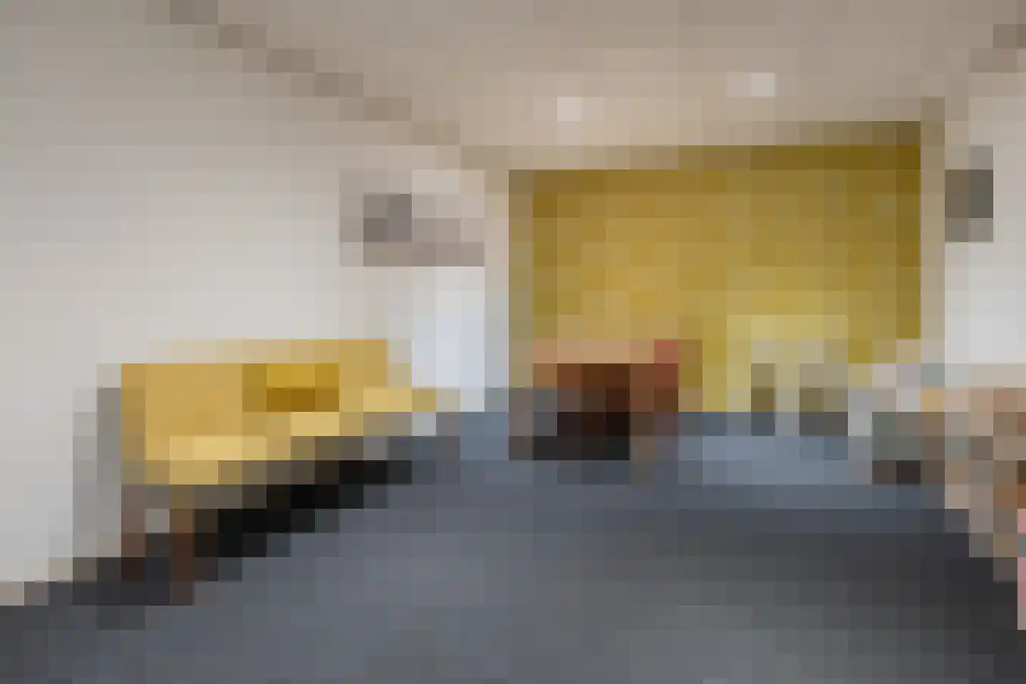 Van Schothorststraat 1 Barneveld thumbnail 51