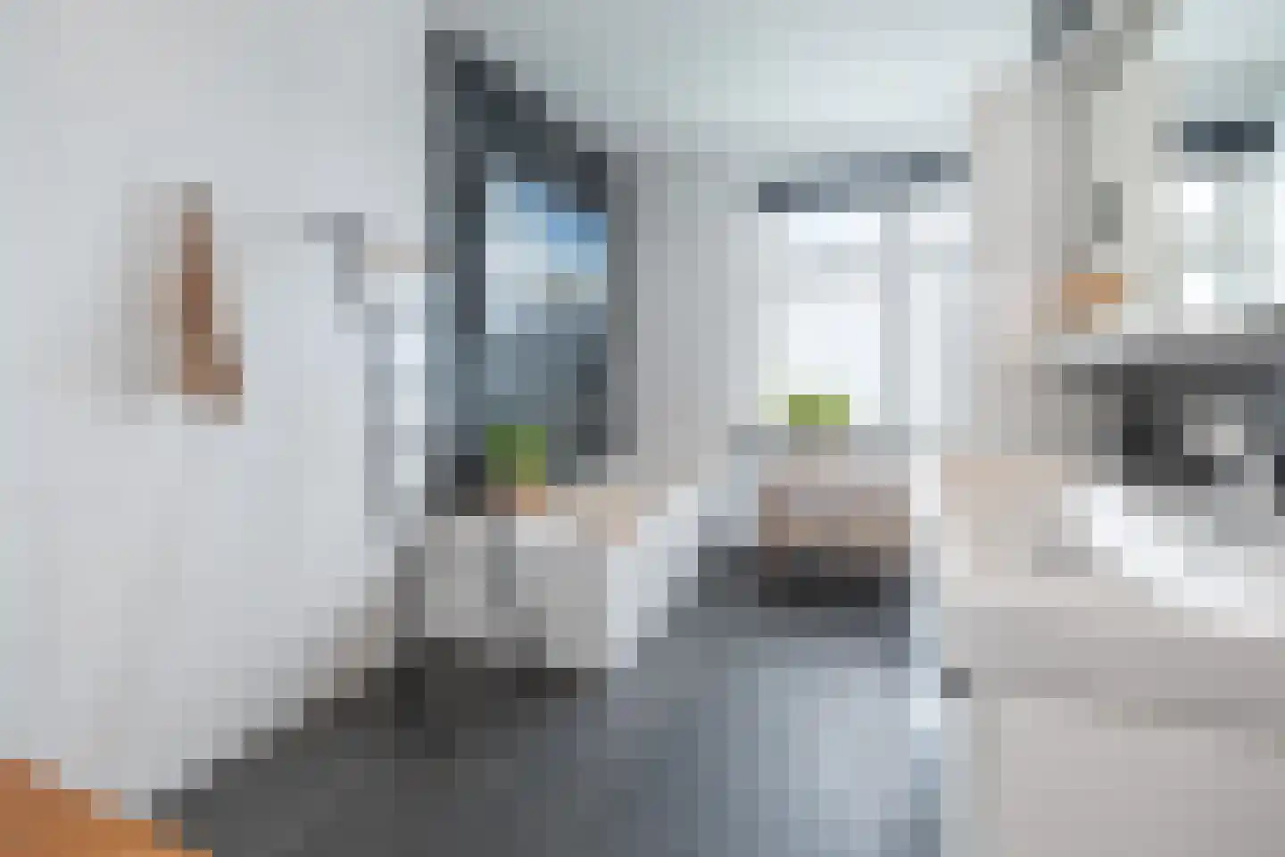 Van Schothorststraat 1 Barneveld thumbnail 6