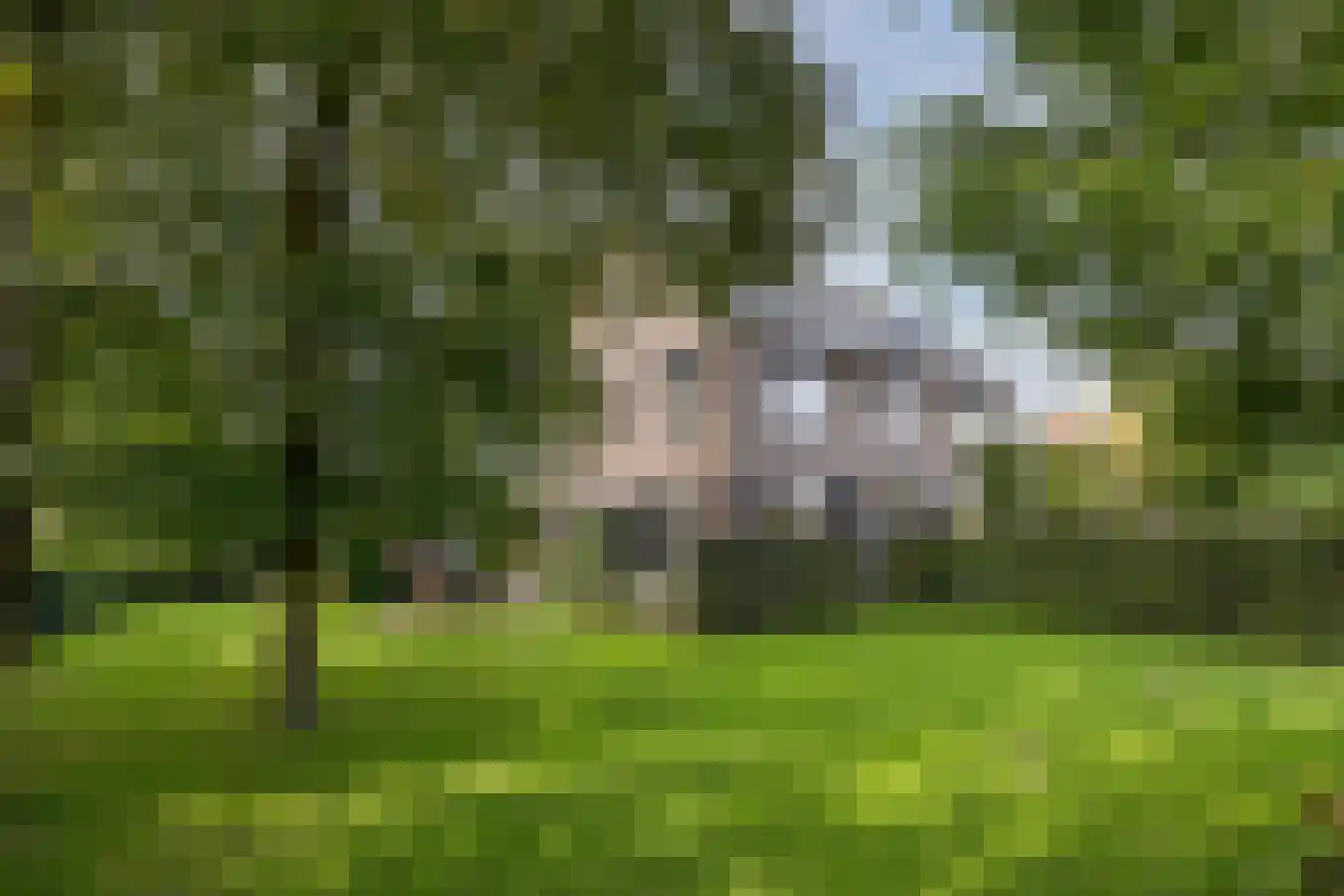 Van Schothorststraat 1 Barneveld thumbnail 65