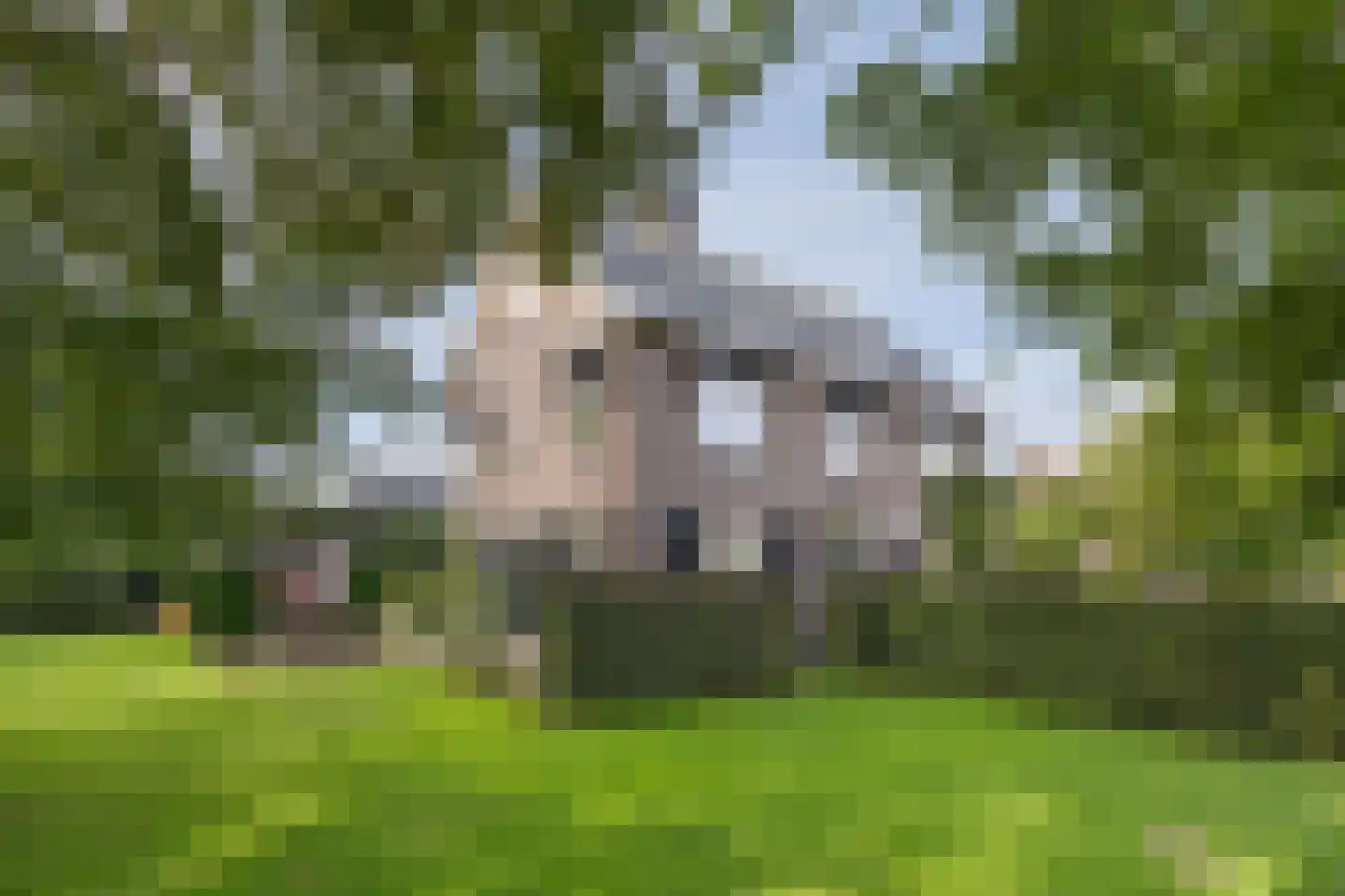 Van Schothorststraat 1 Barneveld thumbnail 7