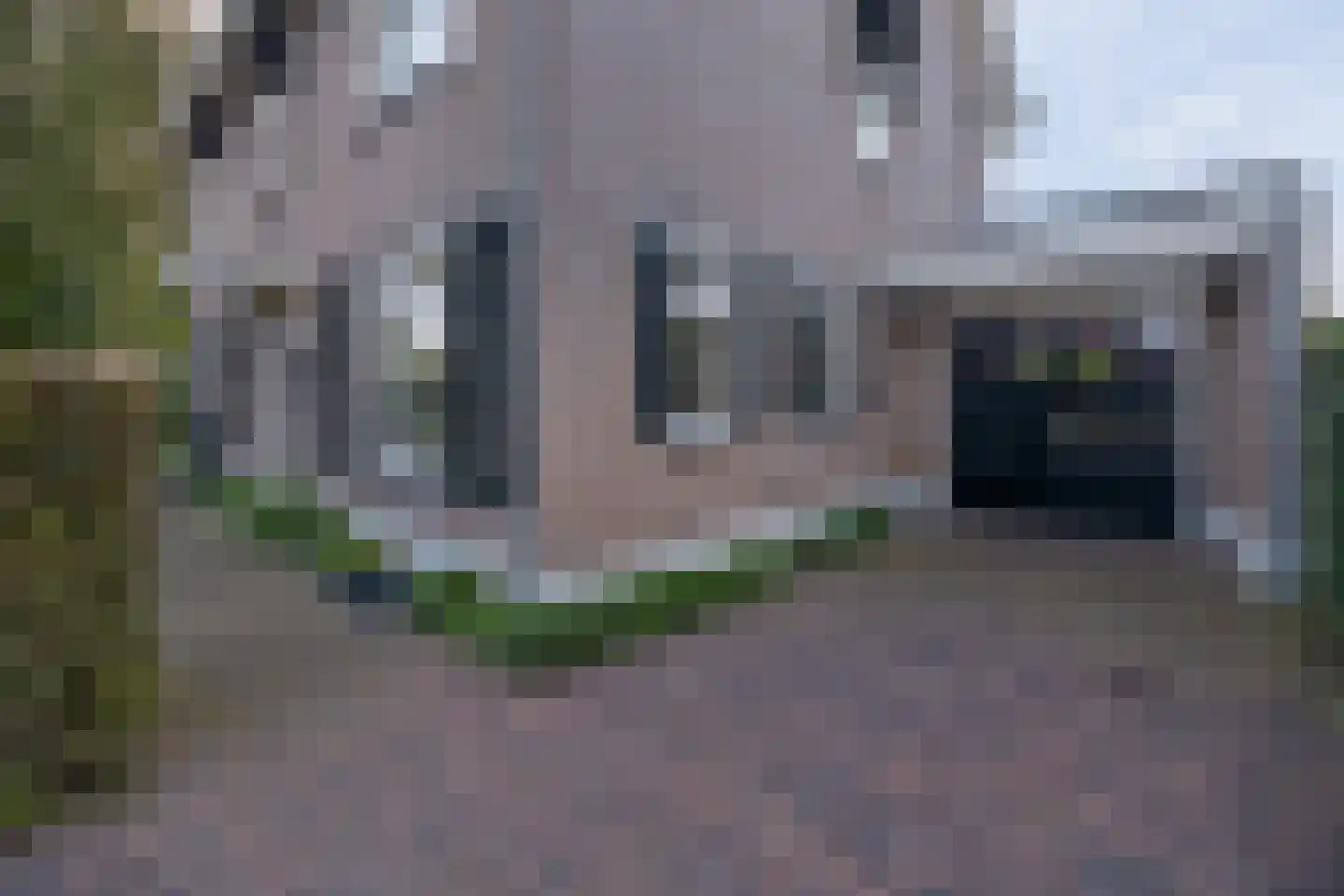 Van Schothorststraat 1 Barneveld thumbnail 70