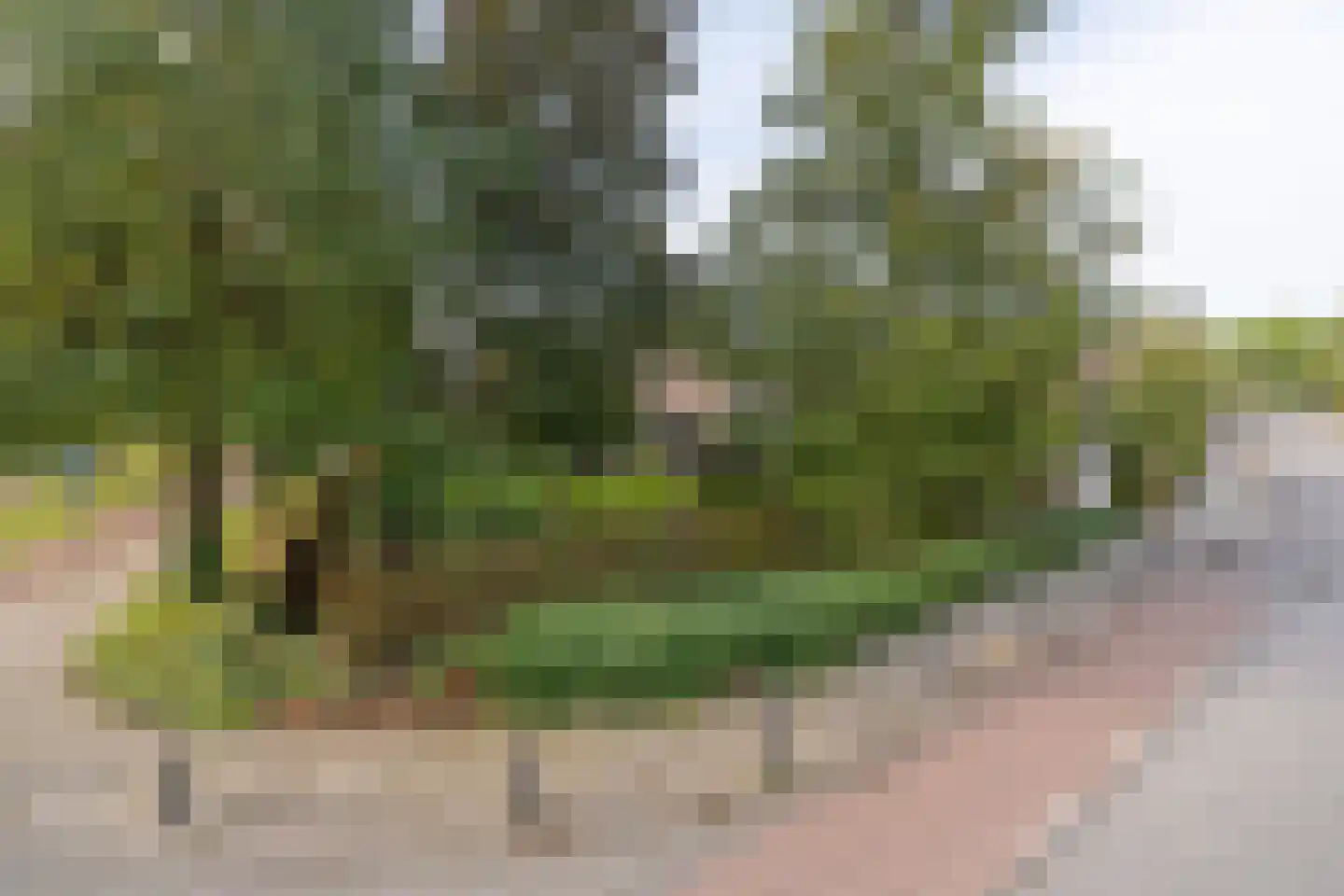 Van Schothorststraat 1 Barneveld thumbnail 75