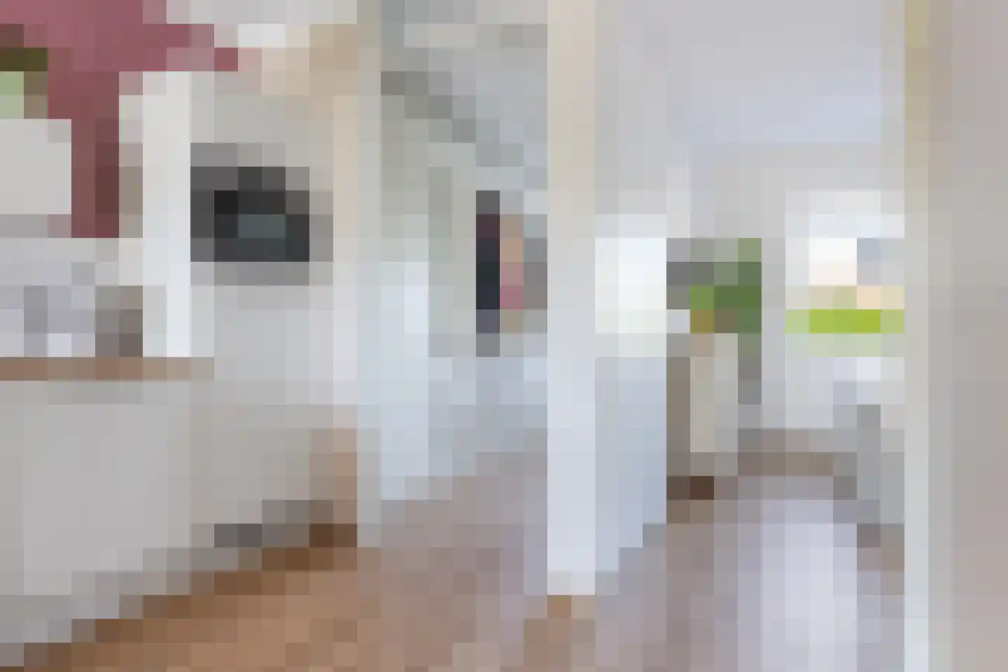 van Schouwenburgstraat 15 001 Sneek thumbnail 16