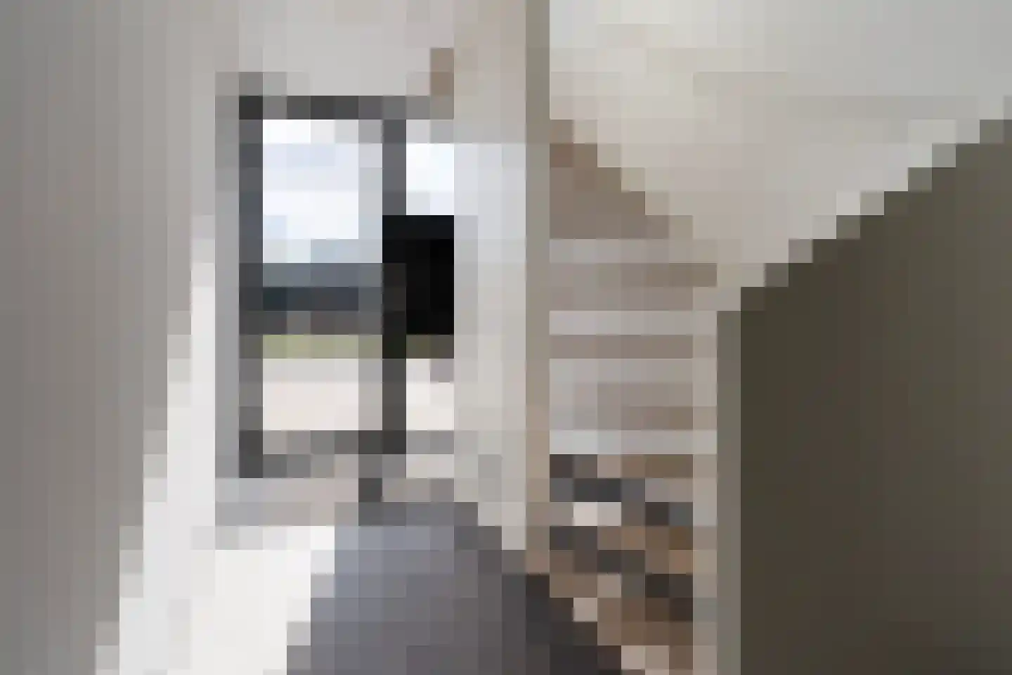 van Schouwenburgstraat 3 102 Sneek thumbnail 7