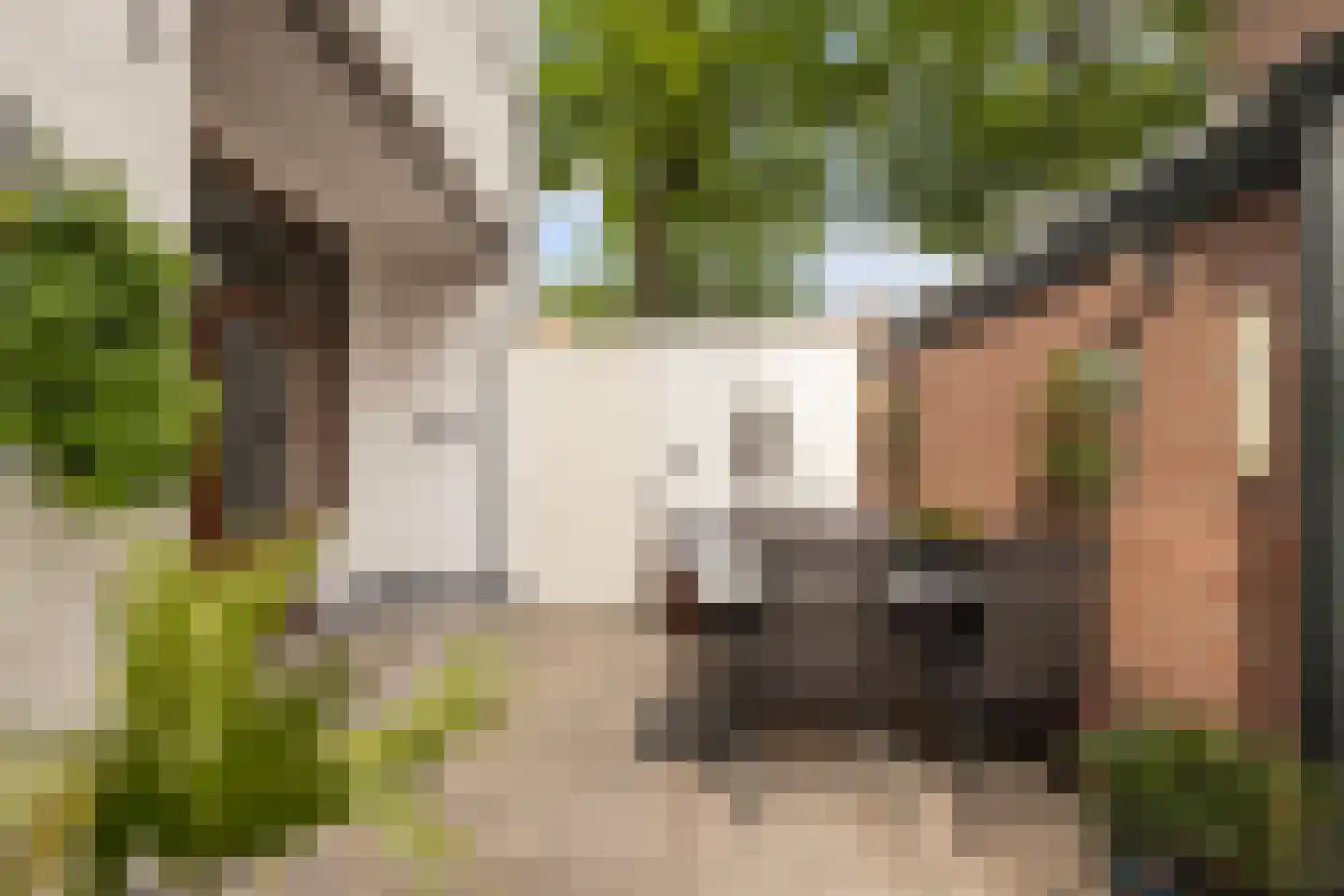 van Schravendijkplein 104 Vlaardingen thumbnail 5