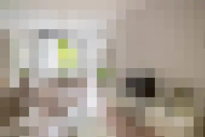 van Schravendijkplein 37 Vlaardingen thumbnail 11
