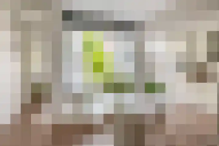 van Schravendijkplein 37 Vlaardingen thumbnail 14
