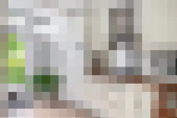 van Schravendijkplein 37 Vlaardingen thumbnail 17