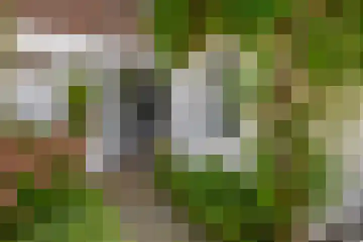 van Schravendijkplein 37 Vlaardingen thumbnail 18