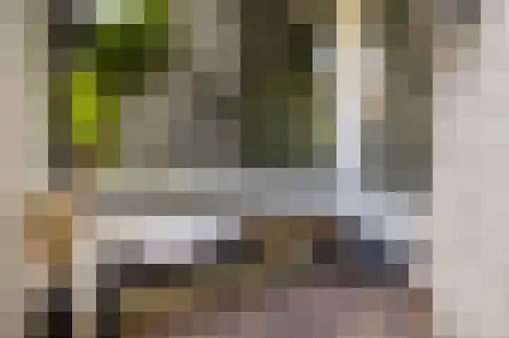van Schravendijkplein 37 Vlaardingen thumbnail 19