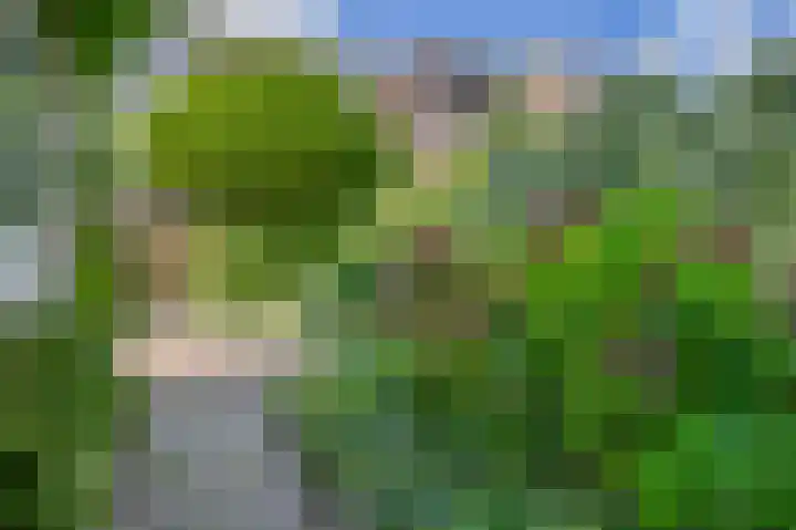van Schravendijkplein 37 Vlaardingen thumbnail 20