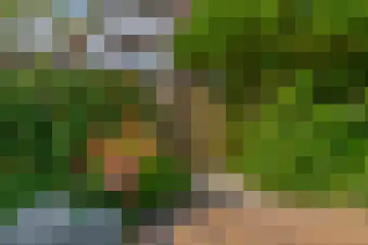 van Schravendijkplein 37 Vlaardingen thumbnail 21