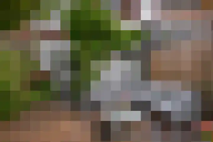 van Schravendijkplein 37 Vlaardingen thumbnail 22