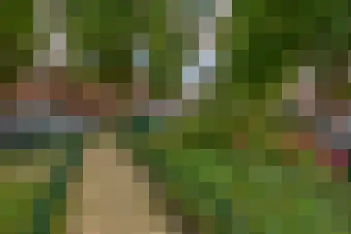 van Schravendijkplein 37 Vlaardingen thumbnail 29