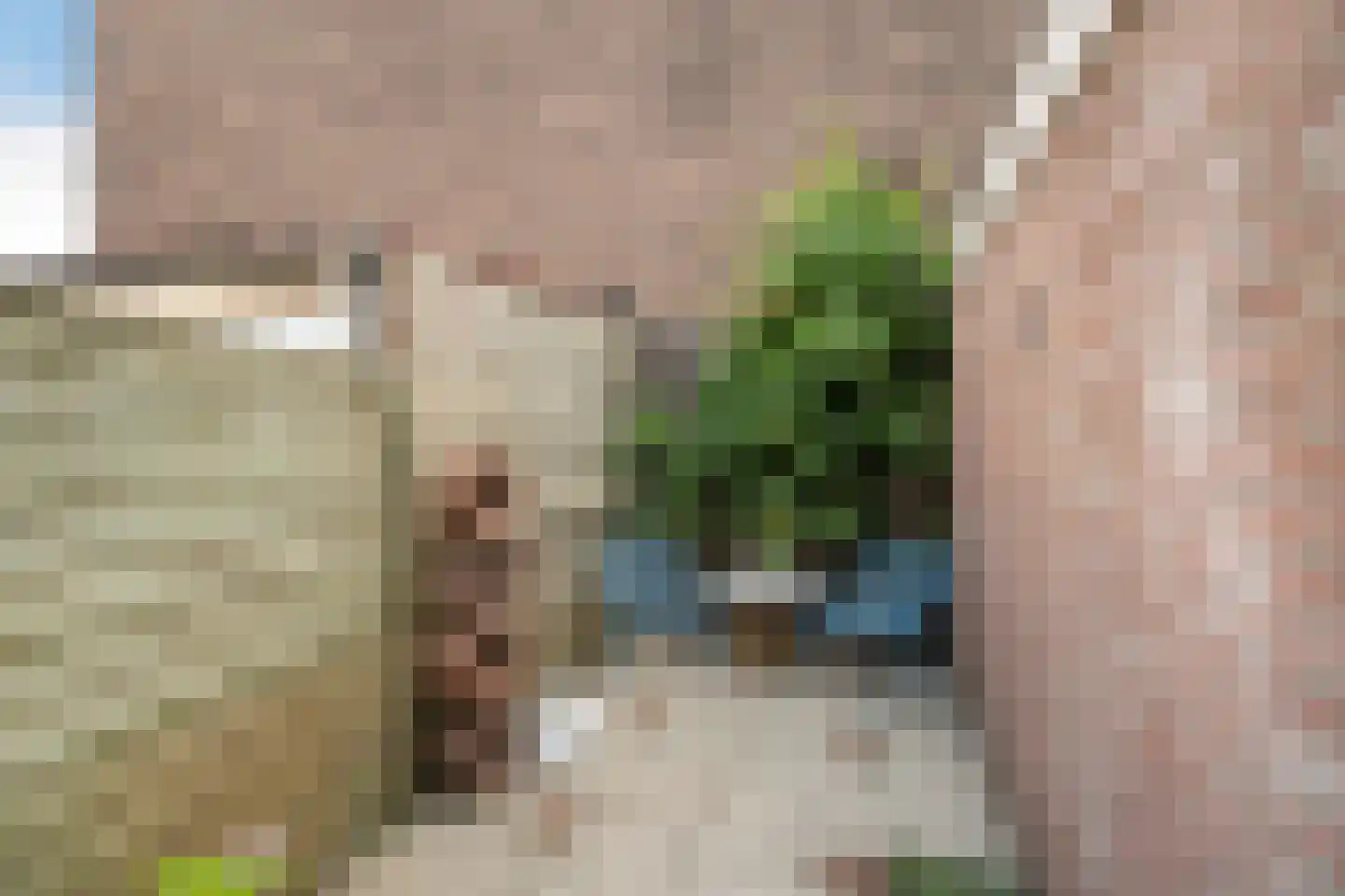 van Schravendijkplein 65 Vlaardingen thumbnail 17