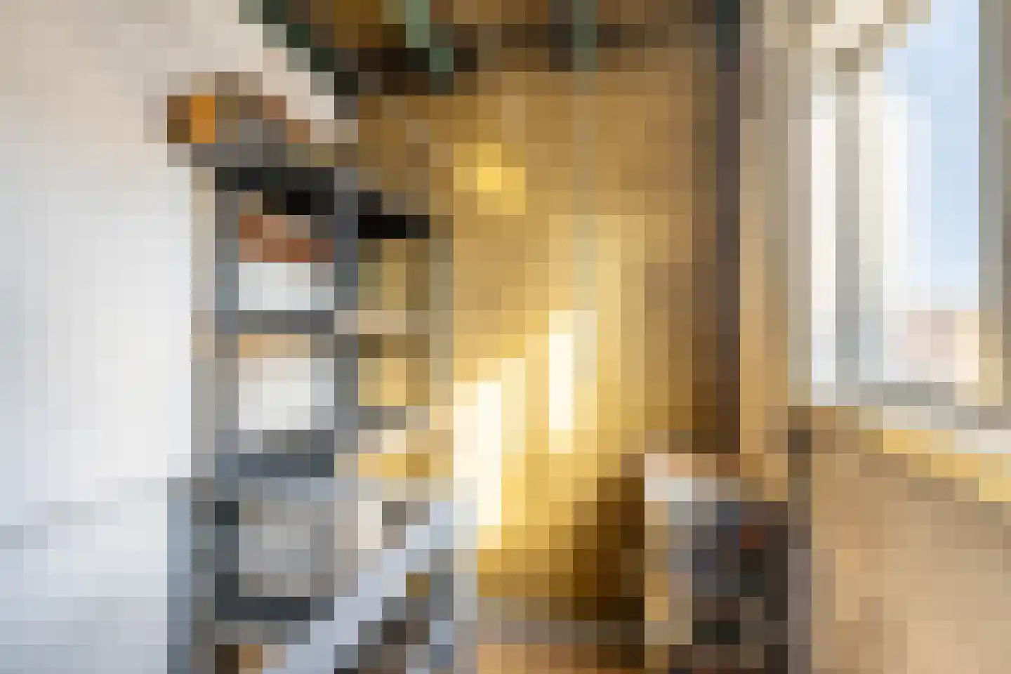 van Schravendijkplein 65 Vlaardingen thumbnail 30