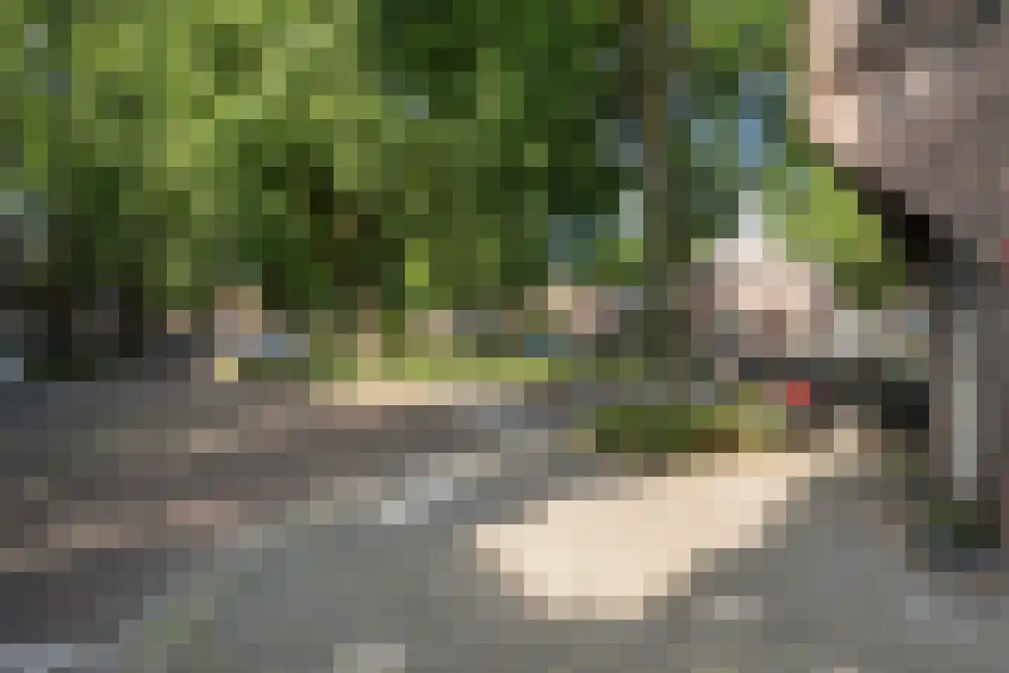 van Schravendijkplein 65 Vlaardingen thumbnail 33