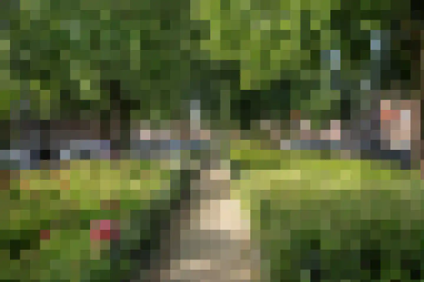 van Schravendijkplein 65 Vlaardingen thumbnail 34