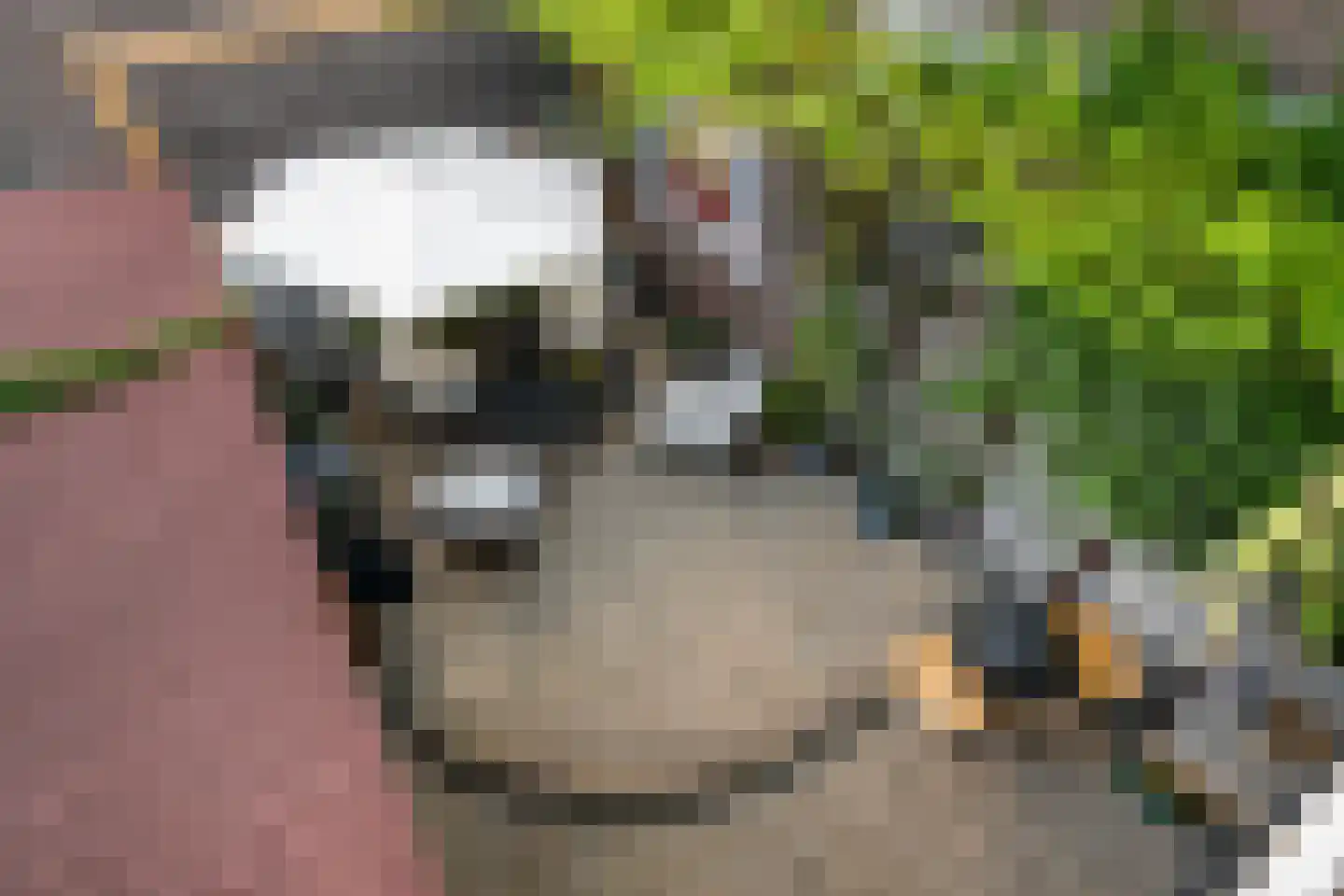 van Schravendijkplein 81 Vlaardingen thumbnail 32