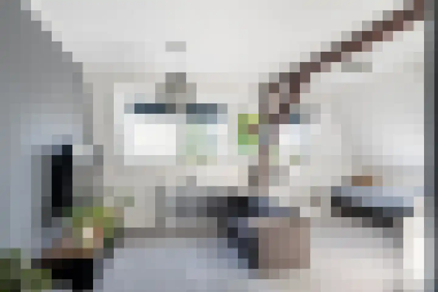 van Schravendijkplein 81 Vlaardingen thumbnail 40