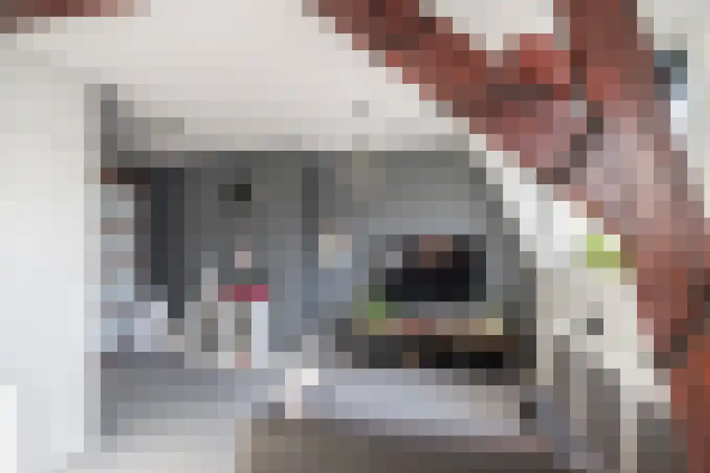 van Schravendijkplein 81 Vlaardingen thumbnail 42