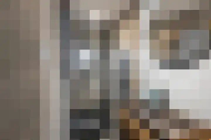 van Schravendijkplein 92 Vlaardingen thumbnail 31