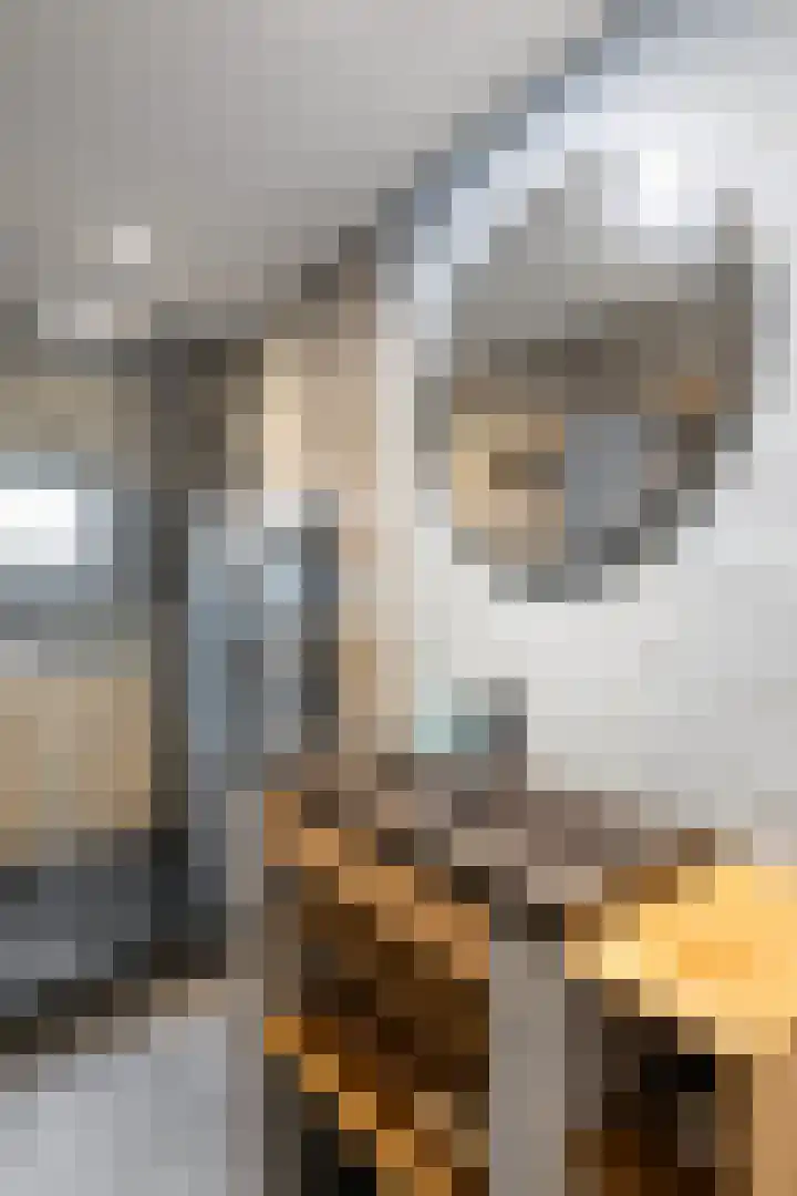 van Schravendijkplein 92 Vlaardingen thumbnail 34