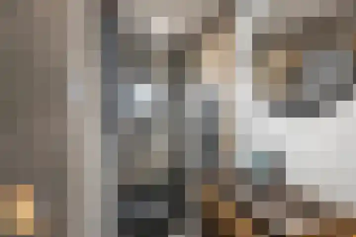 van Schravendijkplein 92 Vlaardingen thumbnail 4