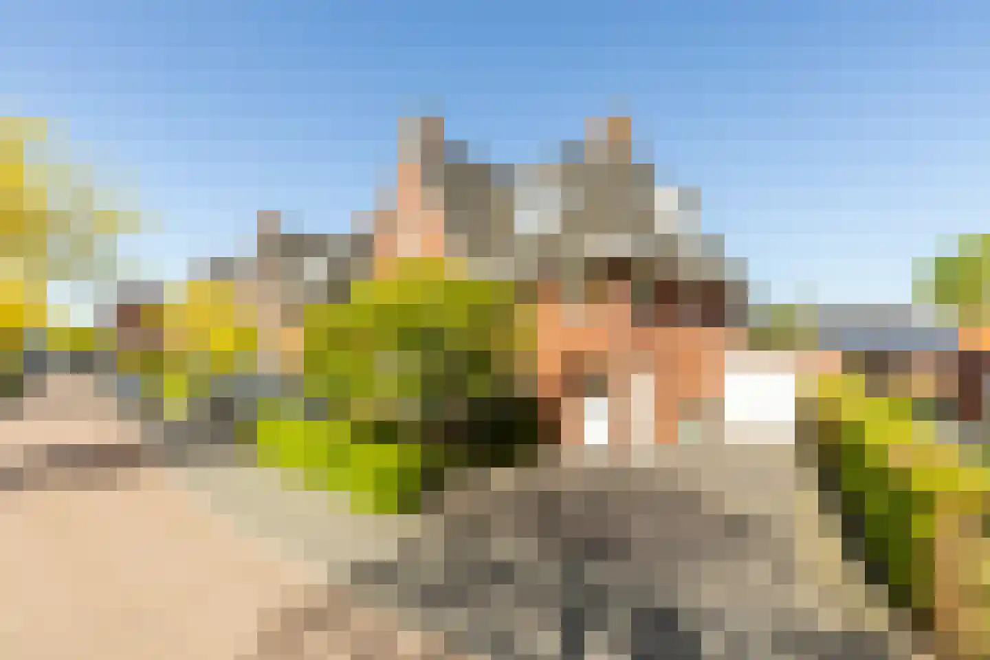 Van Schuppenstraat 11 Nieuwkuijk