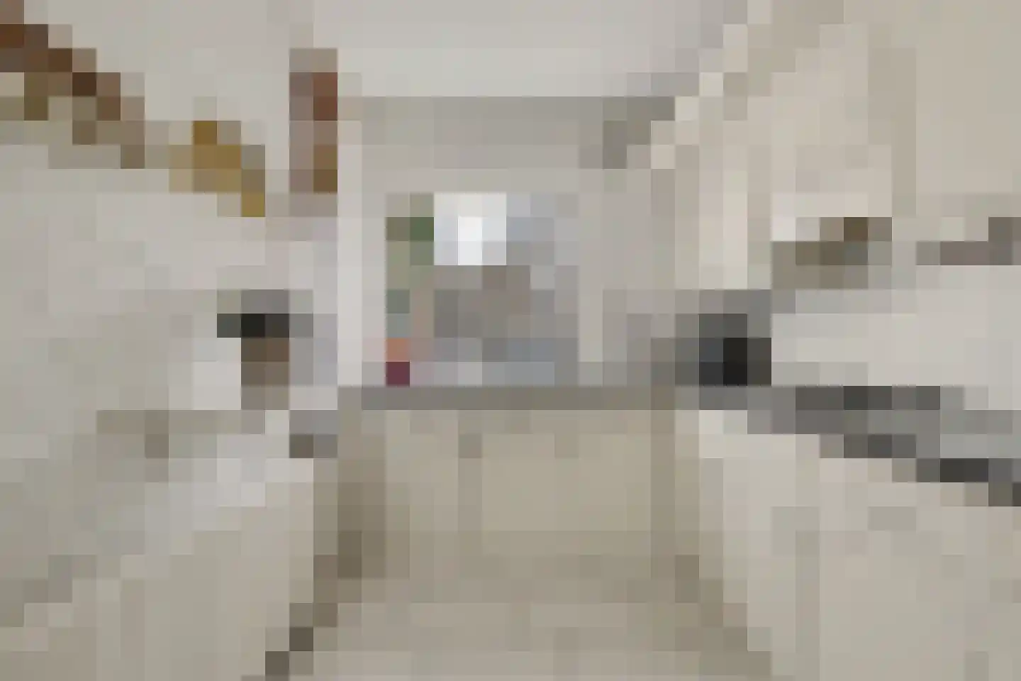 van Scorel 9 Monster thumbnail 10