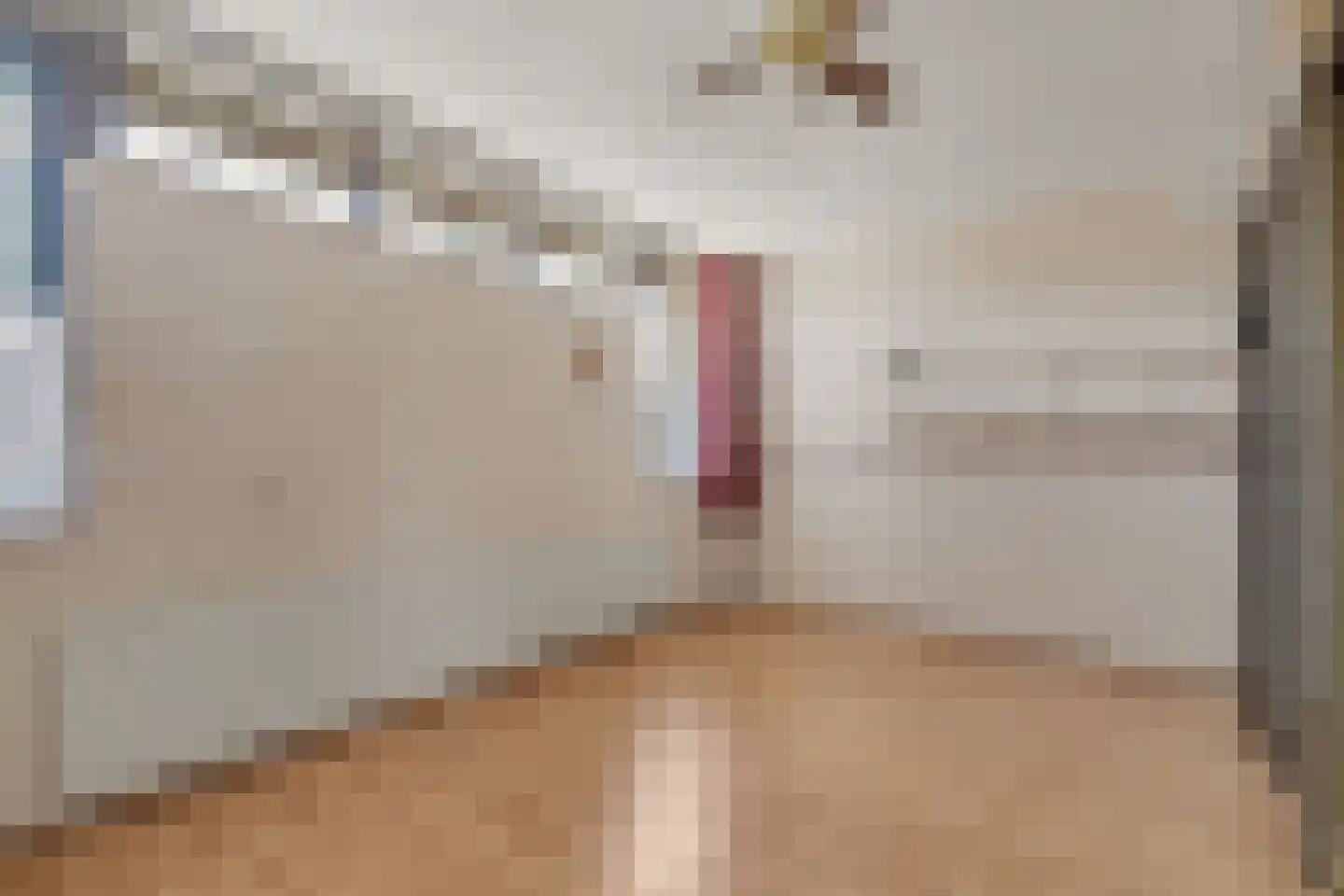 van Scorel 9 Monster thumbnail 13