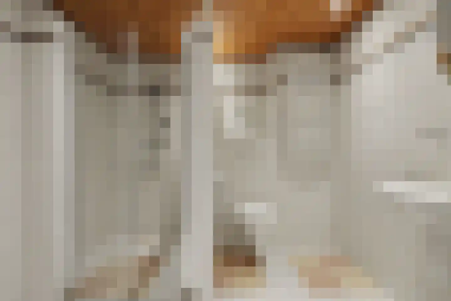van Scorel 9 Monster thumbnail 17